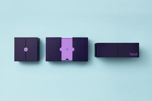 創(chuàng)新產品包裝設計與網站設計的完美融合