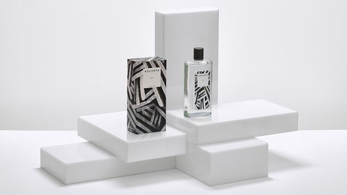 創(chuàng)意視覺(jué)交響曲 包裝、插畫(huà)、標(biāo)志與網(wǎng)站的融合之美